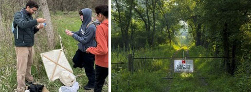 Reller Prairie Field Station