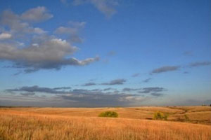 View of the tallgrass prairie