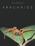 arachnids-cover.jpg  